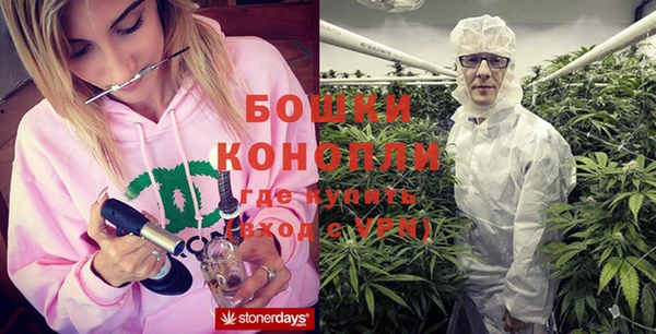 молекула духа Аркадак