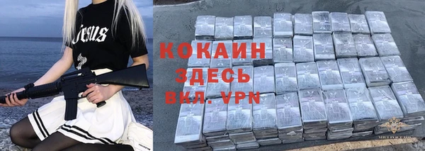 ешки Арсеньев