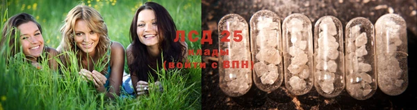 ешки Арсеньев